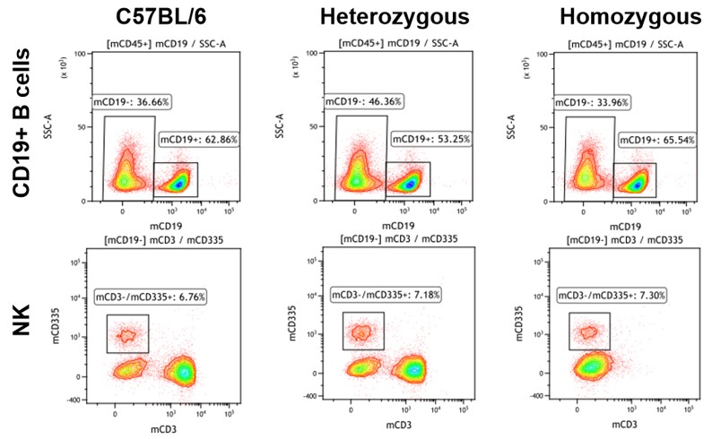 Image for ASHU-00114