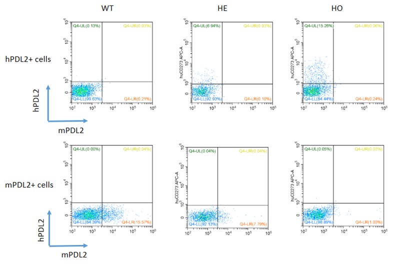 Image for ASHU-190050