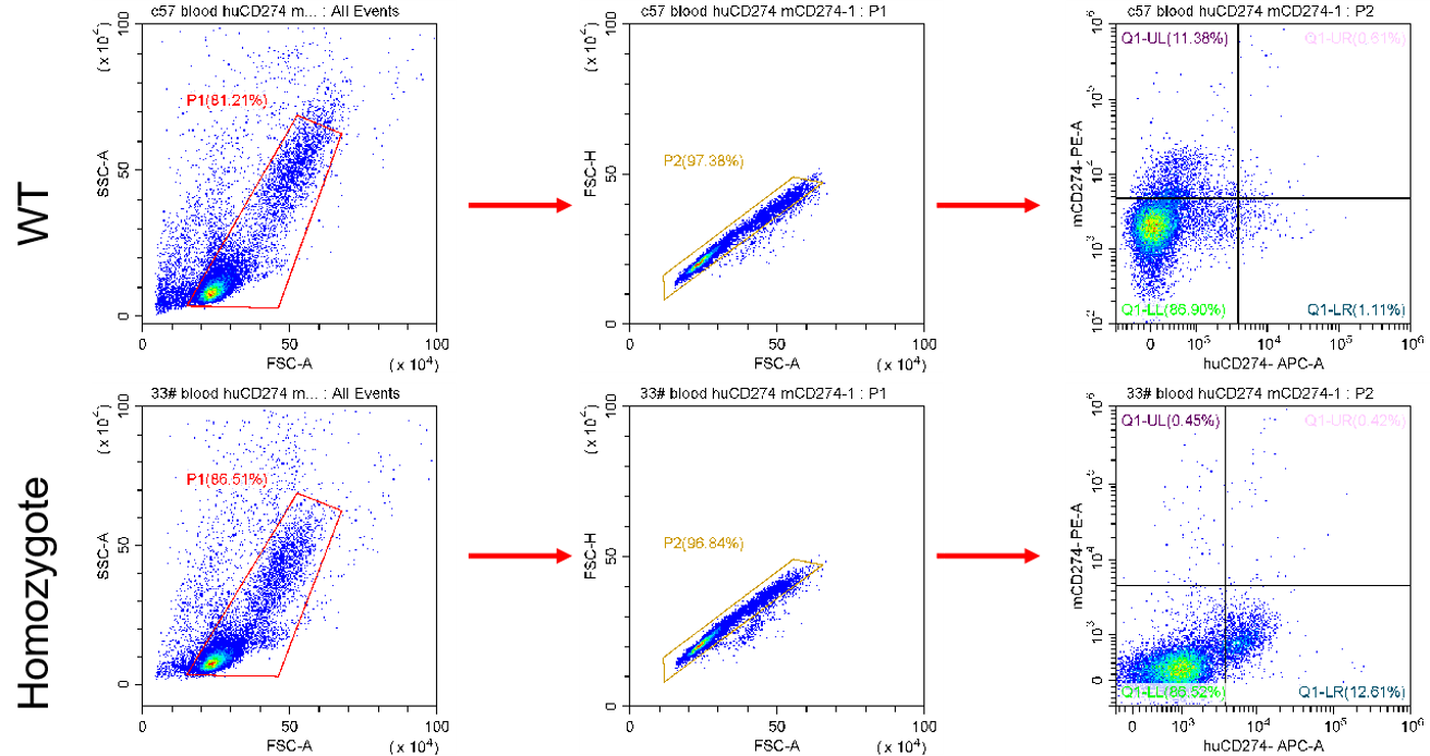 Image for ASHU-190039