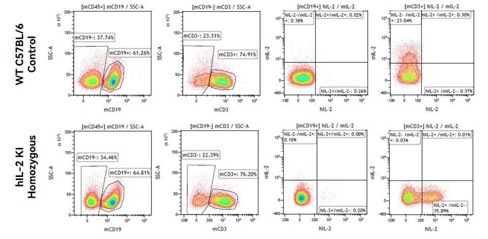 Image for ASHU-200275