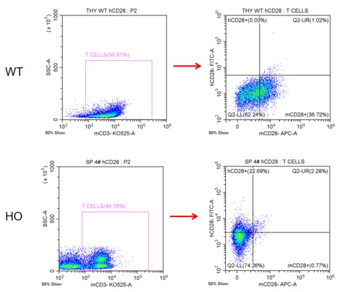 Image for ASHU-200226