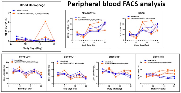 Image for ASKI-190041