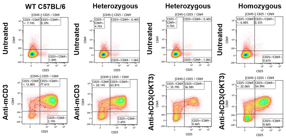 Image for ASHU-00114