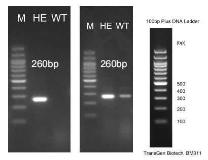 Image for ASHU-2000057