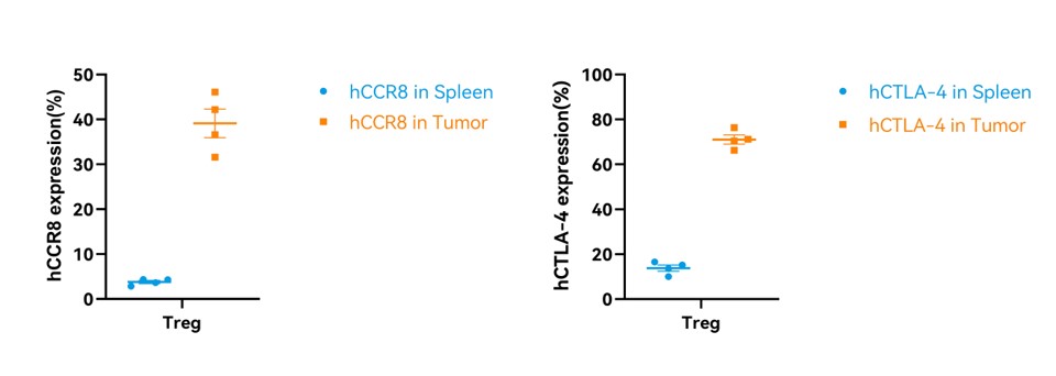 Image for ASHU-220074