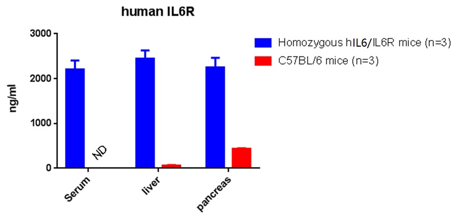 Image for ASHU-190025