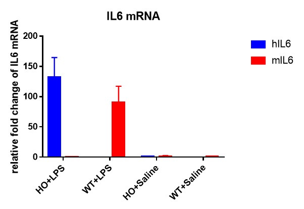 Image for ASHU-190025