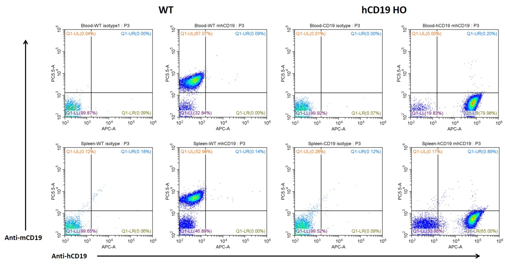 Image for ASHU-00110