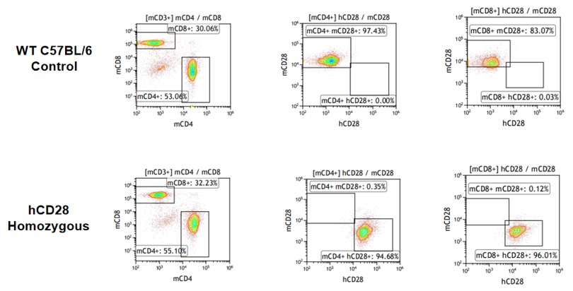 Image for ASHU-190011