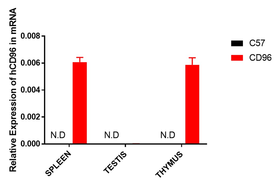 Image for ASHU-2000059