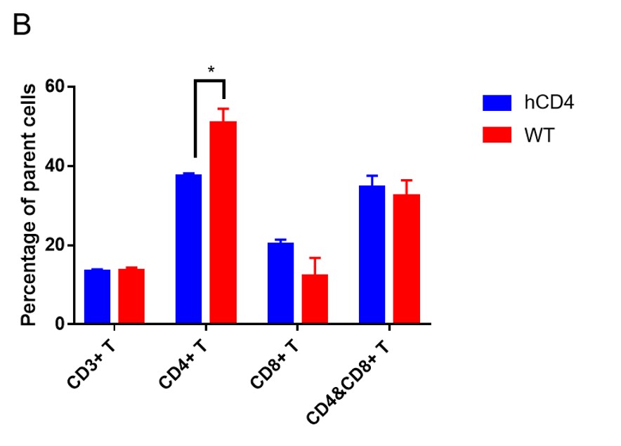 Image for ASHU-00115