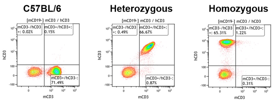 Image for ASHU-00114