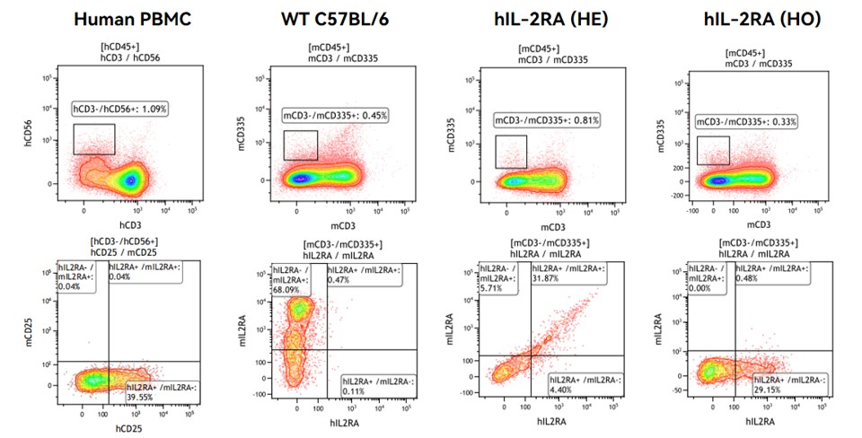 Image for ASHU-200275