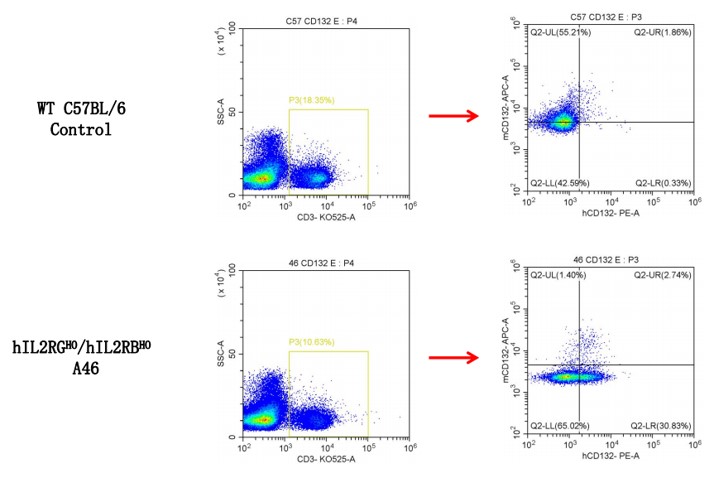 Image for ASHU-210354