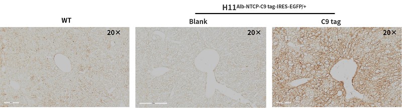 Image for ASKI-200054