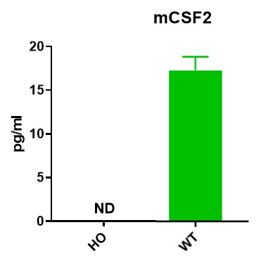 Image for ASHU-190046