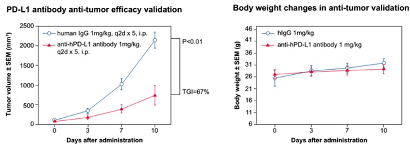 Image for ASHU-200260