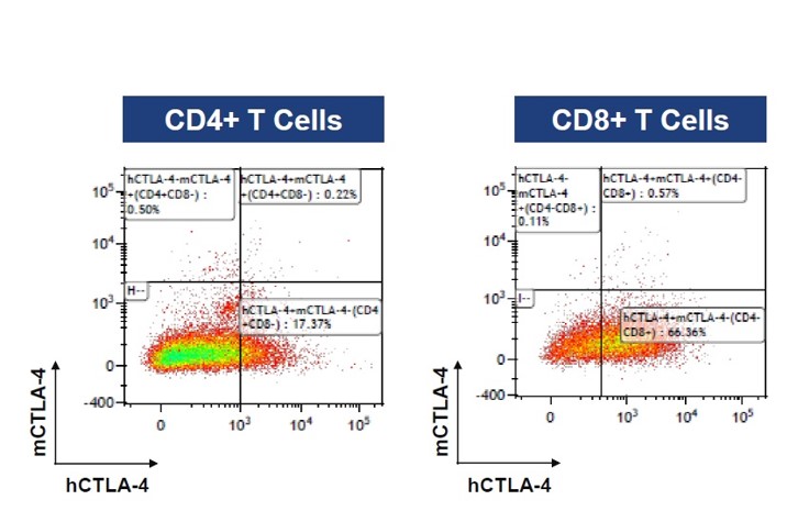 Image for ASHU-00079