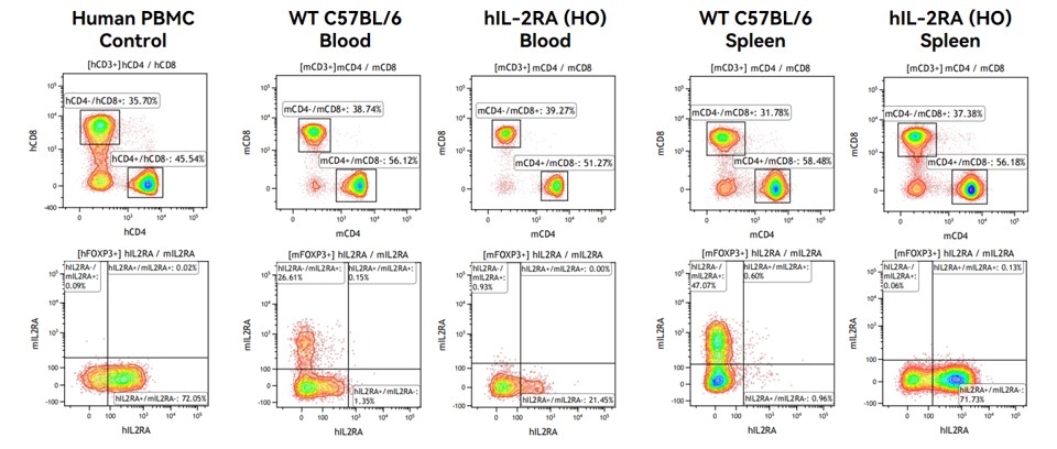 Image for ASHU-200275