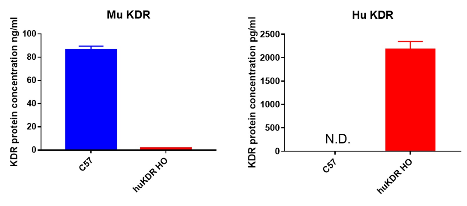 Image for ASHU-00098