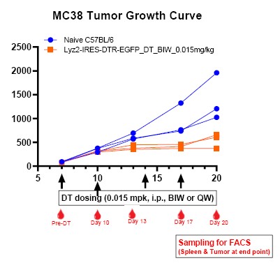 Image for ASKI-190041