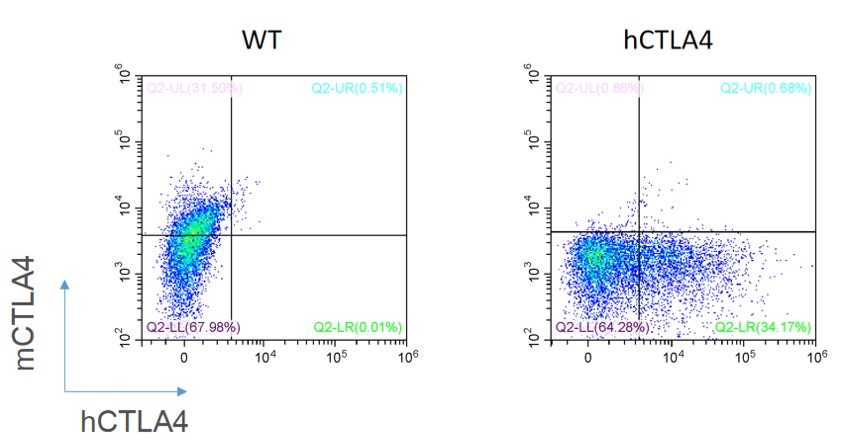 Image for ASHU-190078