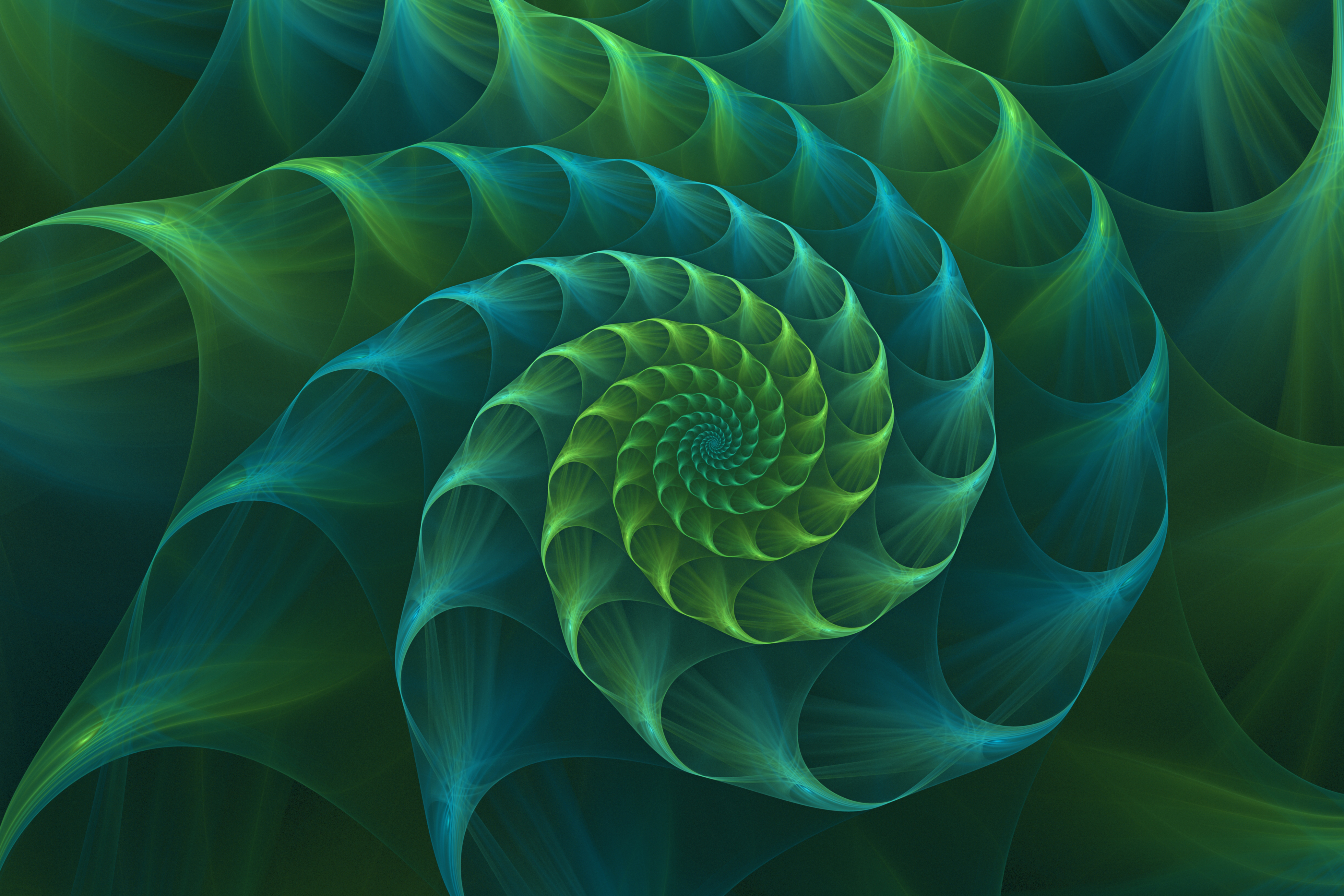 istockphoto-877212894-2048x2048
